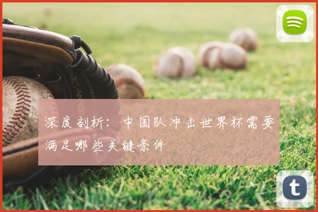 深度剖析：中国队冲击世界杯需要满足哪些关键条件