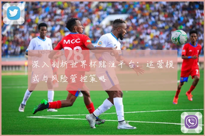 深入剖析世界杯赌注平台：运营模式与风险管控策略